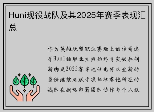 Huni现役战队及其2025年赛季表现汇总