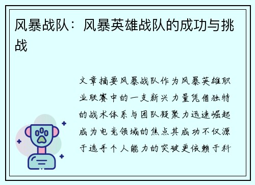 风暴战队：风暴英雄战队的成功与挑战